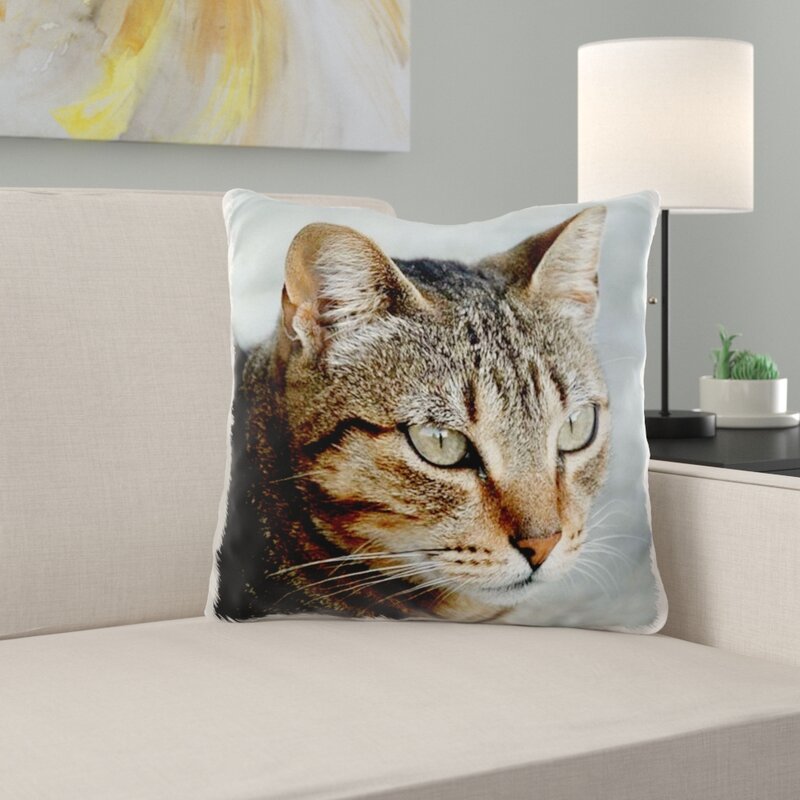 glowing eyes tabby cat pillow